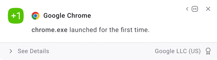 AppControl temporary desktop alert revealing a new application just ran for the first time